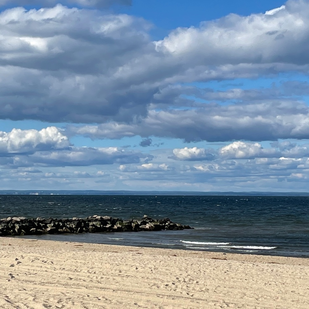 Meet your Posher, Lynn ann